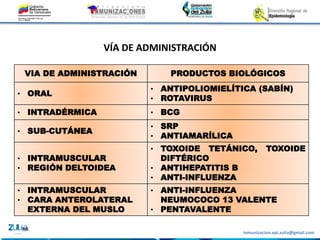 Inmunizacion.epi.zulia@gmail.com
VIA DE ADMINISTRACIÓN PRODUCTOS BIOLÓGICOS
• ORAL
• ANTIPOLIOMIELÍTICA (SABÍN)
• ROTAVIRUS
• INTRADÉRMICA • BCG
• SUB-CUTÁNEA
• SRP
• ANTIAMARÍLICA
• INTRAMUSCULAR
• REGIÓN DELTOIDEA
• TOXOIDE TETÁNICO, TOXOIDE
DIFTÉRICO
• ANTIHEPATITIS B
• ANTI-INFLUENZA
• INTRAMUSCULAR
• CARA ANTEROLATERAL
EXTERNA DEL MUSLO
• ANTI-INFLUENZA
NEUMOCOCO 13 VALENTE
• PENTAVALENTE
VÍA DE ADMINISTRACIÓN
 