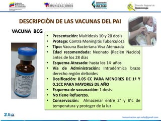 Inmunizacion.epi.zulia@gmail.com
VACUNA BCG
• Presentación: Multidosis 10 y 20 dosis
• Protege: Contra Meningitis Tuberculosa
• Tipo: Vacuna Bacteriana Viva Atenuada
• Edad recomendada: Neonato (Recién Nacido)
antes de los 28 días
• Esquema Atrasado: hasta los 14 años
• Vía de Administración: Intradérmica brazo
derecho región deltoides
• Dosificación: 0.05 CC PARA MENORES DE 1ª Y
0.1CC PARA MAYORES DE AÑO
• Esquema de vacunación: 1 dosis
• No tiene Refuerzos.
• Conservación: Almacenar entre 2° y 8°c de
temperatura y proteger de la luz
DESCRIPCIÒN DE LAS VACUNAS DEL PAI
 