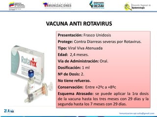 Inmunizacion.epi.zulia@gmail.com
VACUNA ANTI ROTAVIRUS
Presentación: Frasco Unidosis
Protege: Contra Diarreas severas por Rotavirus.
Tipo: Viral Viva Atenuada
Edad: 2,4 meses.
Vía de Administración: Oral.
Dosificación: 1 ml
Nº de Dosis: 2.
No tiene refuerzo.
Conservación: Entre +2ºc a +8ºc
Esquema Atrasado: se puede aplicar la 1ra dosis
de la vacuna hasta los tres meses con 29 días y la
segunda hasta los 7 meses con 29 días.
 