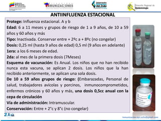 Inmunizacion.epi.zulia@gmail.com
Protege: Influenza estacional. A y b
Edad: 6 a 11 meses y grupos de riesgo de 1 a 9 años, de 10 a 59
años y 60 años y más
Tipo: Inactivada. Conservar entre + 2ºc a + 8ºc (no congelar)
Dosis: 0,25 ml (hasta 9 años de edad) 0,5 ml (9 años en adelante)
1era: a los 6 meses de edad.
2da: al mes de la primera dosis (7Meses)
Esquema de vacunación: Es Anual. Los niños que no han recibido
nunca esta vacuna, se aplican 2 dosis. Los niños que la han
recibido anteriormente, se aplican una sola dosis.
De 10 a 59 años grupos de riesgo: (Embarazadas, Personal de
salud, trabajadores avícolas y porcinos, inmunocomprometidos,
enfermos crónicos y 60 años y más, una dosis 0,5cc anual con la
cepa de circulación
Vía de administración: Intramuscular.
Conservación: Entre + 2°c y 8°c (no congelar)
ANTIINFLUENZA ESTACIONAL
 