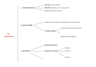 Seres vivos: plantas y animales.
1. Conjunto formado por

Medio físico: temperatura, luz, aire, agua, suelo,…
Relaciones que existen entre ellos.

Lugares en los que el gobierno ha prohibido arrancar flores silvestres.

2. Espacio protegido
Parque Nacional de las Tablas de Daimiel.
En Castilla La Mancha
LOS

Parque Nacional de Cabañeros.

ECOSISTEMAS

Organismos productores.
Herbívoros
3. Alimentación

Organismos consumidores

Carnívoros

Omnívoros

 