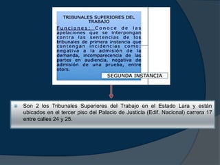 ž  Son 2 los Tribunales Superiores del Trabajo en el Estado Lara y están
ubicados en el tercer piso del Palacio de Justicia (Edif. Nacional) carrera 17
entre calles 24 y 25.
 