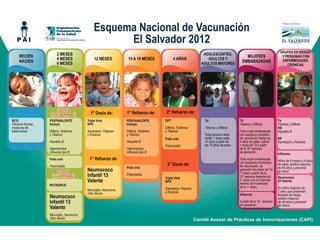 Esquema nacional de_vacunacion_2012
