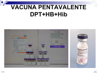 VACUNA PENTAVALENTE DPT+HB+Hib 10:50 PM 