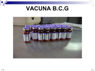 VACUNA B.C.G 10:50 PM 