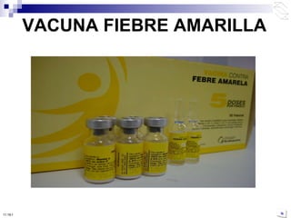 VACUNA FIEBRE AMARILLA 10:50 PM 