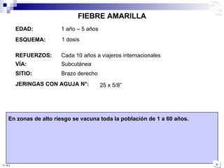 EDAD: 1 año – 5 años ESQUEMA: REFUERZOS: VÍA: Subcutánea JERINGAS CON AGUJA N°:   En zonas de alto riesgo se vacuna toda la población de 1 a 60 años. 25 x 5/8 ” SITIO: Brazo derecho FIEBRE AMARILLA Cada 10 años a viajeros internacionales 1 dosis 10:50 PM 