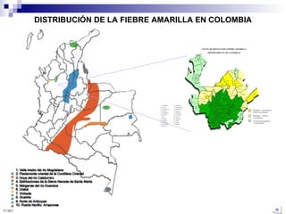 DISTRIBUCIÓN DE LA FIEBRE AMARILLA EN COLOMBIA 10:50 PM 