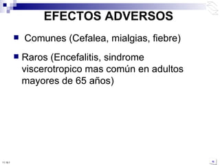 EFECTOS ADVERSOS Comunes (Cefalea, mialgias, fiebre) Raros (Encefalitis, sindrome viscerotropico mas común en adultos mayores de 65 años) 10:50 PM 