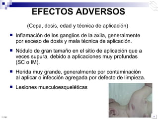EFECTOS ADVERSOS (Cepa, dosis, edad y técnica de aplicación) Inflamación de los ganglios de la axila, generalmente por exceso de dosis y mala técnica de aplicación. Nódulo de gran tamaño en el sitio de aplicación que a veces supura, debido a aplicaciones muy profundas (SC o IM). Herida muy grande, generalmente por contaminación al aplicar o infección agregada por defecto de limpieza. Lesiones musculoesqueléticas 10:50 PM 