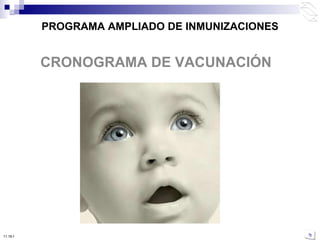 PROGRAMA AMPLIADO DE INMUNIZACIONES CRONOGRAMA DE VACUNACIÓN 10:50 PM 