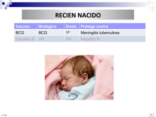 10:50 PM Vacuna Biológico Dosis Protege contra BCG BCG 1ª Meningitis tuberculosa Hepatitis B HB RN Hepatitis B RECIEN NACIDO 