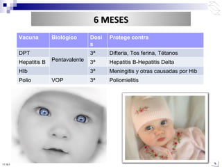 10:50 PM Vacuna Biológico Dosis Protege contra DPT Pentavalente 3ª  Difteria, Tos ferina, Tétanos Hepatitis B 3ª Hepatitis B-Hepatitis Delta HIb 3ª Meningitis y otras causadas por Hib Polio VOP 3ª Poliomielitis 6 MESES 