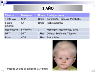 * Pasado un año de aplicada la 3ª dosis 10:50 PM 1 AÑO Vacuna Biológico Dosis Protege contra Triple viral SRP Única Sarampión, Rubéola, Parotiditis Fiebre amarilla FA Única Fiebre amarilla Neumococo Synflorix ® 3ª  Meningitis, Neumonías, otros  DPT* DPT 1Rfzo Difteria, Tosferina, Tétanos Polio* VOP 1Rfzo Poliomielitis 