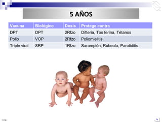 10:50 PM 5 AÑOS Vacuna Biológico Dosis Protege contra DPT DPT 2Rfzo  Difteria, Tos ferina, Tétanos Polio VOP 2Rfzo  Poliomielitis Triple viral SRP 1Rfzo  Sarampión, Rubeola, Parotiditis 