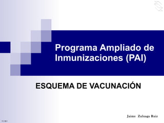 Programa Ampliado de Inmunizaciones (PAI) ESQUEMA DE VACUNACIÓN Jaime  Zuluaga Ruiz 10:50 PM 