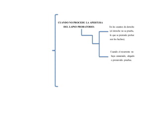 CUANDO NO PROCEDE LA APERTURA
DEL LAPSO PROBATORIO: En los asuntos de derecho
(el derecho no se prueba,
lo que se pretende probar
son los hechos).
Cuando el recurrente no
haya anunciado, alegado
o promovido pruebas.
 