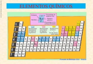 Rosario
Planelló,
Jose
Luis
Martinez,
Gloria
morcillo
ELEMENTOS QUÍMICOS
 