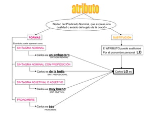 Núcleo del Predicado Nominal, que expresa una
                                            cualidad o estado del sujeto de la oración


                FORMAS                                                                    SUSTITUCIÓN

El atributo puede aparecer como:

    SINTAGMA NOMINAL                                                            El ATRIBUTO puede sustituirse
                                                                                Por el pronombre personal   LO
                         Carlos es un embustero
                                       SINTAGMA NOMINAL



    SINTAGMA NOMINAL CON PREPOSICIÓN

                         Carlos es de la India                                             Carlos LO es
                                     SINT. PREPOSICIONAL



    SINTAGMA ADJETIVAL O ADJETIVO

                         Carlos es muy bueno
                                       SINT. ADJETIVAL



    PRONOMBRE

                         Carlos es ése
                                   PRONOMBRE
 