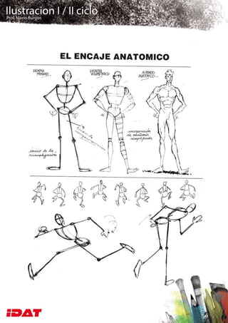 Esquemas anatomicos
