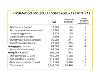 INFORMACIÓN MOLECULAR SOBRE ALGUNAS PROTEINAS
PM
número de
RESIDUOS
número
de cadenas
polipeptídicas
hexoquinasa
Hemoglobi...
