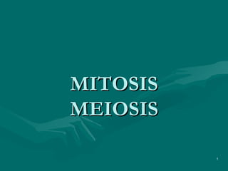 MITOSIS
MEIOSIS

          1
 