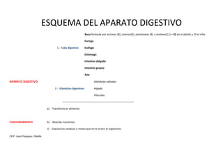 CEIP Juan Pasquau. Úbeda
ESQUEMA DEL APARATO DIGESTIVO
Boca formada por incisivos (8), caninos(4), premolares (8) y molares(12) = 32 en el adulto y 20 el niño
Faringe
1.- Tubo digestivo Esófago
Estómago
Intestino delgado
Intestino grueso
Ano
APARATO DIGESTIVO Glándulas salivales
2.- Glándulas digestivas Hígado
Páncreas
--------------------------------------------------------------------------------
a) Transforma el alimento
FUNCIONAMIENTO b) Absorbe nutrientes
c) Expulsa los residuos o restos que no le sirven al organismo.
 