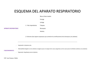 CEIP Juan Pasquau. Úbeda
ESQUEMA DEL APARATO RESPIRATORIO
Boca y fosas nasales
Faringe
Laringe
1.- Vías respiratorias Tráquea
APARATO RESPIRATORIO Bronquios
Alvéolos
2.-Pulmones (dos órganos esponjosos que contienen las ramificaciones de los bronquios y los alvéolos)
------------------------------------------------------------------------------------------------------------------------------------------------------------
- Inspiración: tomamos aire.
- Intercambio de gases (en los alvéolos el oxígenos pasa a la sangre de los vasos sanguíneos y de los vasos paras el anhídrido carbónico a los alvéolos)
FUNCIONAMIENTO
- Espiración: Expulsamos aire al exterior.
 