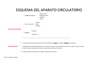 CEIP Juan Pasquau. Úbeda
ESQUEMA DEL APARATO CIRCULATORIO
Glóbulos rojos
1.- Sangre formada por: Glóbulos blancos
Plaquetas
Plasma
Arterias
2.- Vasos sanguíneos: Venas
Capilares
APARATO CIRCULATORIO
Aurículas
3.-Corazón
Ventrículos
-------------------------------------------------------------------------------------------------------------------------------
• La sangre sale del corazón (el corazón tiene dos movimientos: sístole( se encoge) y diástole (se ensancha)
FUNCIONAMIENTO * La sangre llega a los distintos órganos (En los alvéolos toma oxígeno y expulsa anhídrido carbónico. En el intestino recoge nutrientes y
En todos los órganos deja oxígeno y nutrientes y recoge anhídrido carbónico y desechos).
• La sangre vuelve al corazón por los capilares y después por las venas.
 
