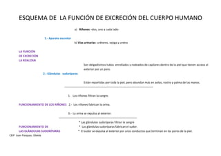 CEIP Juan Pasquau. Úbeda
ESQUEMA DE LA FUNCIÓN DE EXCRECIÓN DEL CUERPO HUMANO
a) Riñones –dos, uno a cada lado-
1.- Aparato excretor
b) Vías urinarias: uréteres, vejiga y uretra
LA FUNCIÓN
DE EXCRECIÓN
LA REALIZAN
Son delgadísimos tubos enrollados y rodeados de capilares dentro de la piel que tienen acceso al
exterior por un poro.
2.- Glándulas sudoríparas
Están repartidas por toda la piel, pero abundan más en axilas, rostro y palma de las manos.
--------------------------------------------------------------------------------------------
1. Los riñones filtran la sangre.
FUNCIONAMIENTO DE LOS RIÑONES 2.- Los riñones fabrican la orina.
3.- La orina se expulsa al exterior.
---------------------------------------------------------------------------------
* Las glándulas sudoríparas filtran la sangre
FUNCIONAMIENTO DE * Las glándulas sudoríparas fabrican el sudor.
LAS GLÁNDULAS SUDORÍPARAS * El sudor se expulsa al exterior por unos conductos que terminan en los poros de la piel.
 