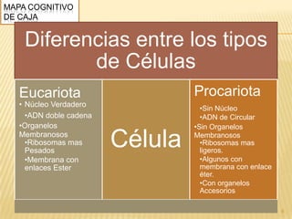 MAPA COGNITIVO
DE CAJA
Diferencias entre los tipos
de Células
Eucariota
• Núcleo Verdadero
•ADN doble cadena
•Organelos
Membranosos
•Ribosomas mas
Pesados
•Membrana con
enlaces Ester
Célula
Procariota
•Sin Núcleo
•ADN de Circular
•Sin Organelos
Membranosos
•Ribosomas mas
ligeros.
•Algunos con
membrana con enlace
éter.
•Con organelos
Accesorios
6
 
