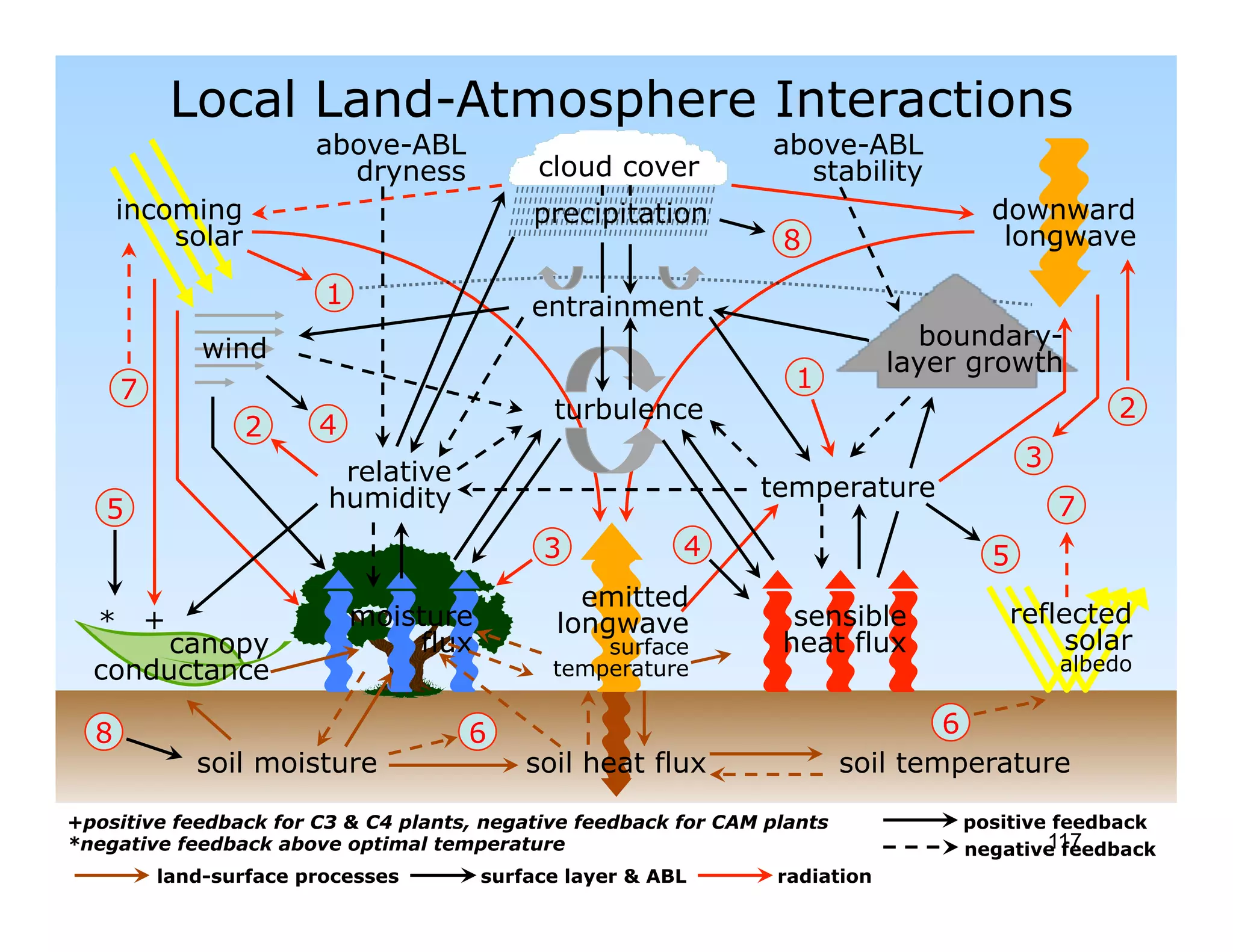 Local Land-Atmosphere Interactions
                        above-ABL                                above-ABL
                          dryness             cloud cover          stability
      incoming                               precipitation                           downward
          solar                                                   8                   longwave

                         1                   entrainment
               wind                                                             boundary-
                                                                              layer growth
      7                                                            1
                                               turbulence                                        2
                  2     4
                                                                                         3
                          relative
                         humidity                               temperature
   5                                                                                         7
                                              3            4                         5
                                                  emitted
  *       +                  moisture           longwave           sensible            reflected
       canopy                     flux             surface        heat flux                 solar
  conductance                                  temperature                                   albedo


  8                                  6                                            6
               soil moisture                 soil heat flux               soil temperature

+positive feedback for C3 & C4 plants, negative feedback for CAM plants            positive feedback
*negative feedback above optimal temperature                                               117
                                                                                   negative feedback
          land-surface processes         surface layer & ABL      radiation
 