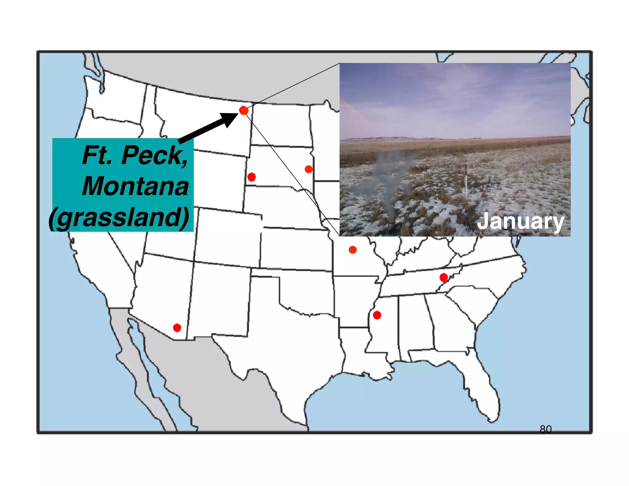 Ft. Peck,!
   Montana!
(grassland)!    January!




                     80
 