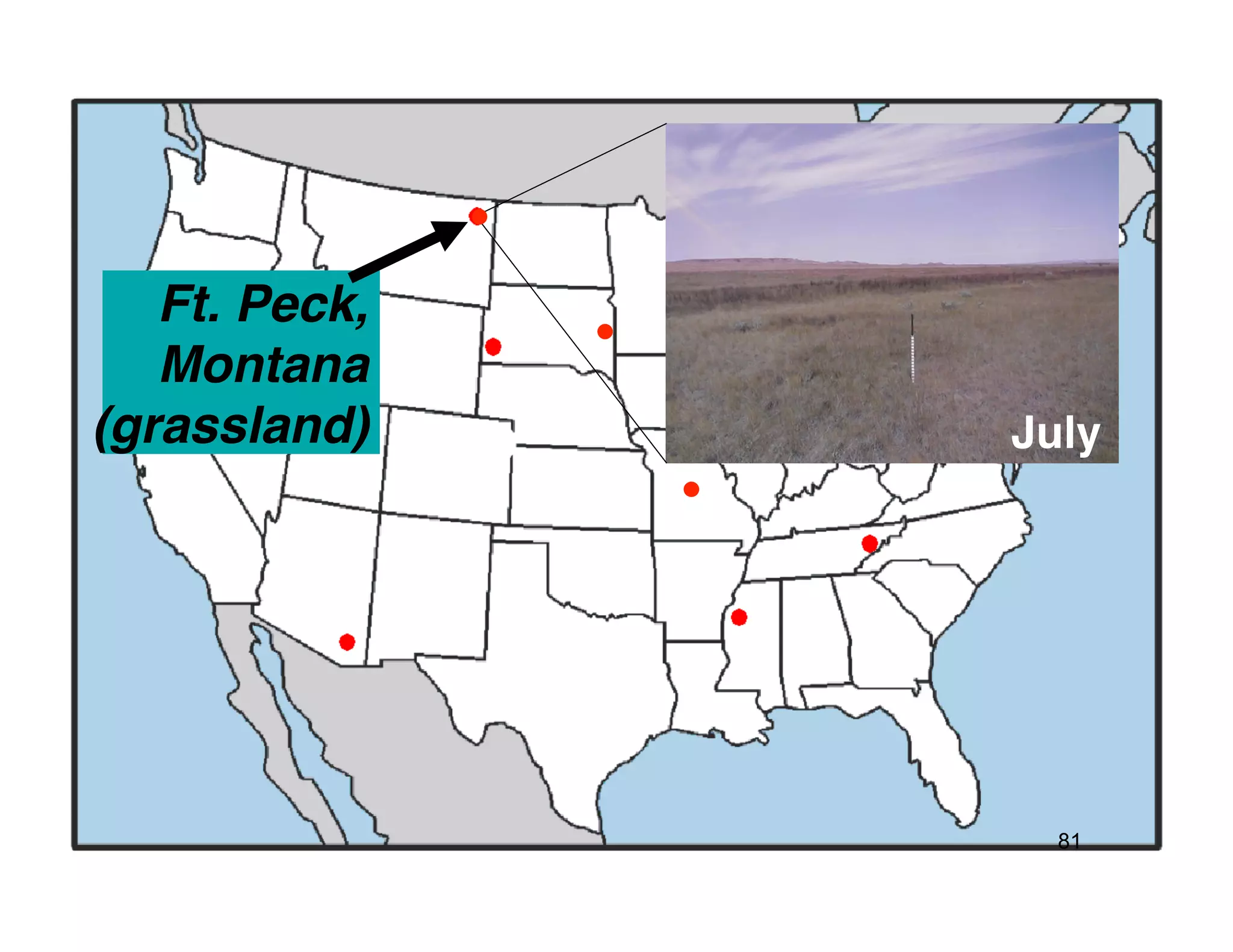 Ft. Peck,!
   Montana!
(grassland)!    July!




                  81
 