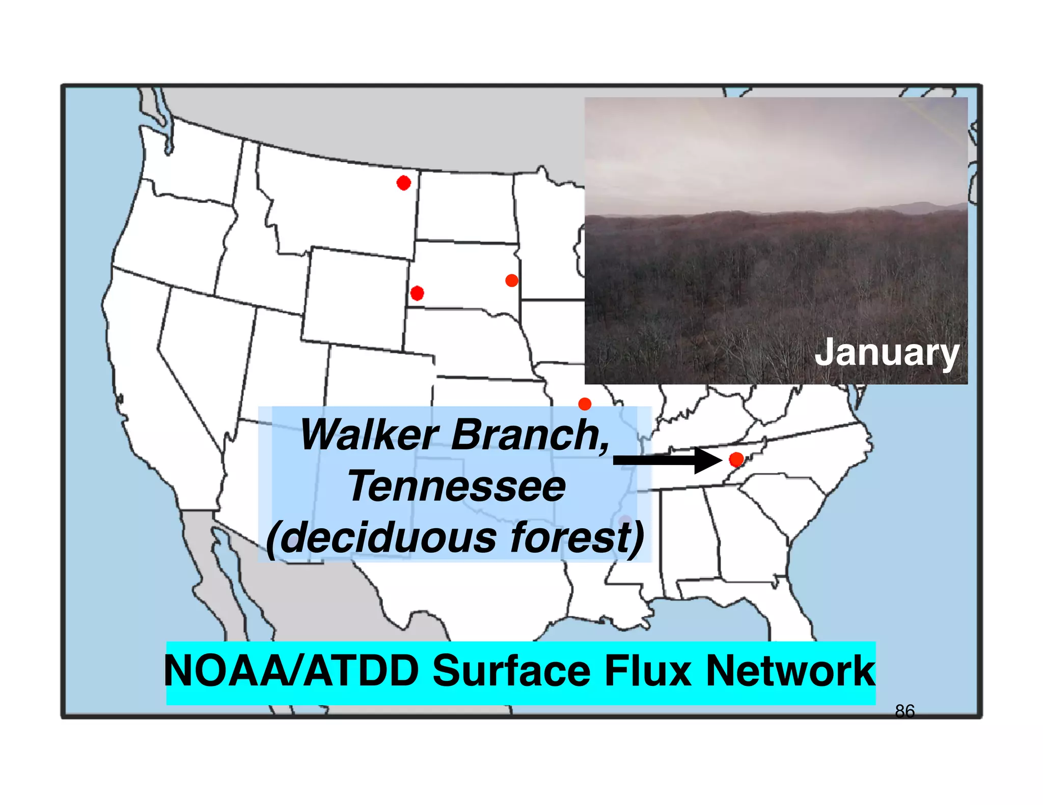 January!

      Walker Branch,!
        Tennessee!
    (deciduous forest)!


NOAA/ATDD Surface Flux Network!
                                  86
 
