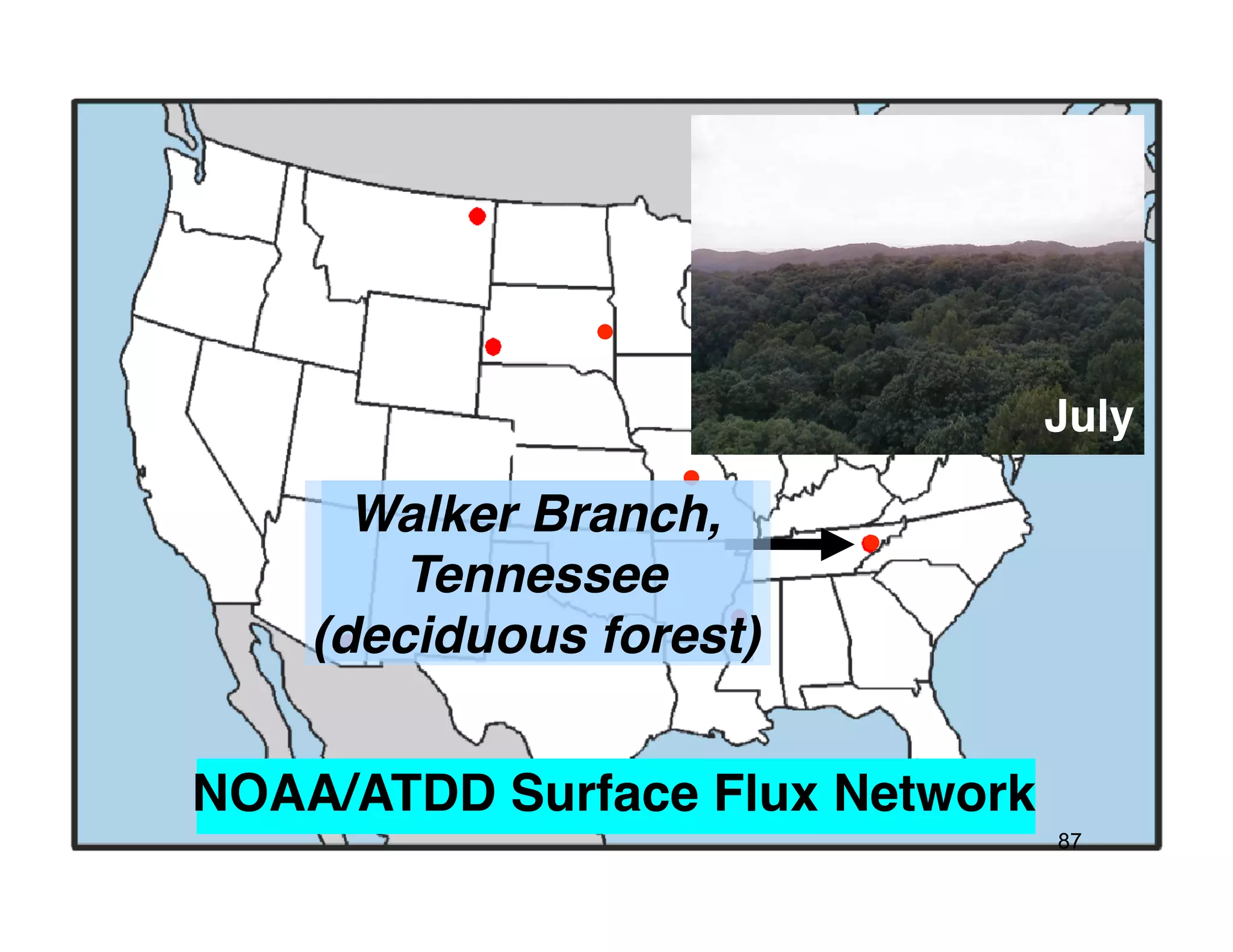July !

      Walker Branch,!
        Tennessee!
    (deciduous forest)!


NOAA/ATDD Surface Flux Network!
                                  87
 