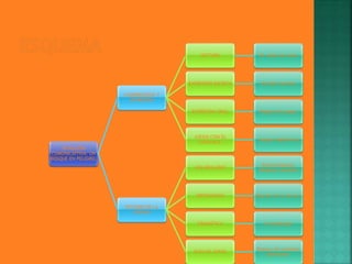 SITAUCIÓN
COMUNICAITIVA: UN
BOSQUE EN PELIGRO.
COMPRENSIÓN Y
EXPRESIÓN
LECTURA El árbol de Julia
EXPRESIÓN ESCRITA Escribir normas
EXPRESIÓN ORAL Reglas de juegos
JUEGO CON EL
LENGUAJE
Juegos lingüísticos
ESTUDIO DE LA
LENGUA
VOCABULARIO
Onomatopeyas.
Palabras comodín
ORTOGRAFÍA Uso de la ll y de la y
GRAMÁTICA El predicado
VUELVO ATRÁS
Repaso de unidades
anteriores.