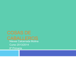 COSAS DE
CABALLEROS
Nieves Calcerrada Molina
Curso 2013/2014
6º Primaria

 