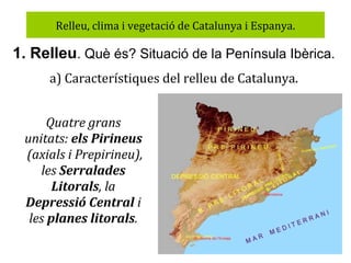Relleu, clima i vegetació de Catalunya i Espanya.

1. Relleu. Què és? Situació de la Península Ibèrica.
a) Característiques del relleu de Catalunya.
Quatre grans
unitats: els Pirineus
(axials i Prepirineu),
les Serralades
Litorals, la
Depressió Central i
les planes litorals.

 