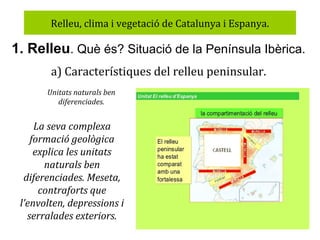 Relleu, clima i vegetació de Catalunya i Espanya.

1. Relleu. Què és? Situació de la Península Ibèrica.
a) Característiques del relleu peninsular.
Unitats naturals ben
diferenciades.

La seva complexa
formació geològica
explica les unitats
naturals ben
diferenciades. Meseta,
contraforts que
l’envolten, depressions i
serralades exteriors.

 