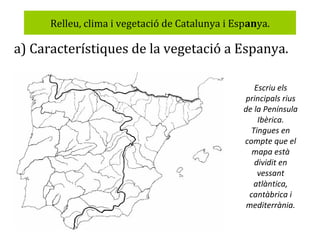 Relleu, clima i vegetació de Catalunya i Espanya.

a) Característiques de la vegetació a Espanya.
Escriu els
principals rius
de la Península
Ibèrica.
Tingues en
compte que el
mapa està
dividit en
vessant
atlàntica,
cantàbrica i
mediterrània.

 