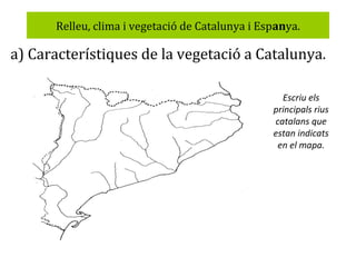 Relleu, clima i vegetació de Catalunya i Espanya.

a) Característiques de la vegetació a Catalunya.
Escriu els
principals rius
catalans que
estan indicats
en el mapa.

 