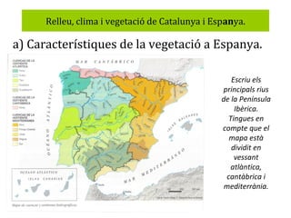 Relleu, clima i vegetació de Catalunya i Espanya.

a) Característiques de la vegetació a Espanya.
Escriu els
principals rius
de la Península
Ibèrica.
Tingues en
compte que el
mapa està
dividit en
vessant
atlàntica,
cantàbrica i
mediterrània.

 