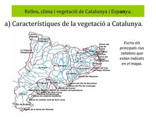 Relleu, clima i vegetació de Catalunya i Espanya.

a) Característiques de la vegetació a Catalunya.
Escriu els
principals rius
catalans que
estan indicats
en el mapa.

 