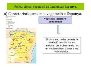 Relleu, clima i vegetació de Catalunya i Espanya.

a) Característiques de la vegetació a Espanya.
Vegetació interior o
continental

El clima sec no ha permès la
formació de sòls rics en
nutrients, per trobar-ne de rics
en nutrients hem d'anar a les
valls del rius.

 