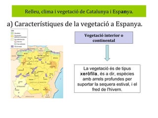 Relleu, clima i vegetació de Catalunya i Espanya.

a) Característiques de la vegetació a Espanya.
Vegetació interior o
continental

La vegetació és de tipus
xeròfila, és a dir, espècies
amb arrels profundes per
suportar la sequera estival, i el
fred de l'hivern.

 