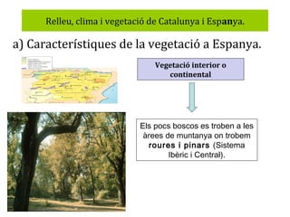 Relleu, clima i vegetació de Catalunya i Espanya.

a) Característiques de la vegetació a Espanya.
Vegetació interior o
continental

Els pocs boscos es troben a les
àrees de muntanya on trobem
roures i pinars (Sistema
Ibèric i Central).

 