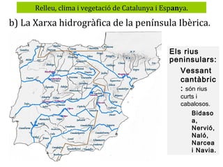 Relleu, clima i vegetació de Catalunya i Espanya.

b) La Xarxa hidrogràfica de la península Ibèrica.
Els rius
peninsulars:
Vessant
cantàbric
: són rius
curts i
cabalosos.
Bidaso
a,
Nervió,
Naló,
Narcea
i Navia.

 