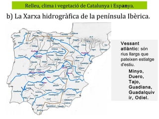 Relleu, clima i vegetació de Catalunya i Espanya.

b) La Xarxa hidrogràfica de la península Ibèrica.

Vessant
atlàntic: són
rius llargs que
pateixen estiatge
d'estiu.
Minyo,
Duero,
Tajo,
Guadiana,
Guadalquiv
ir, Odiel.

 