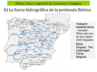 Relleu, clima i vegetació de Catalunya i Espanya.

b) La Xarxa hidrogràfica de la península Ibèrica.
Vessant
mediterrània
: excepte
l'Ebre són rius
de poc cabal i
molt irregulars.
Ebre,
Xúquer, Ter,
Llobregat,
Túria,
Segura.

 